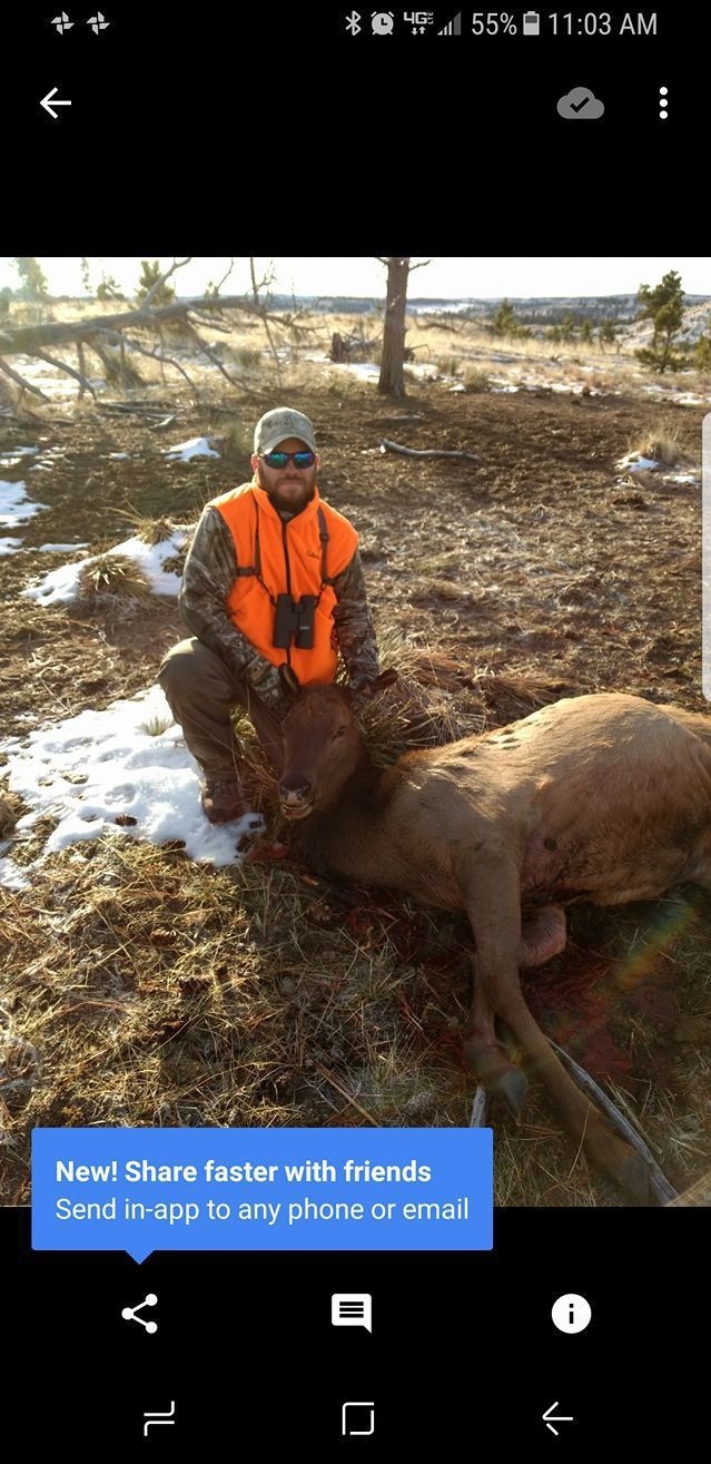 Hunting trophy